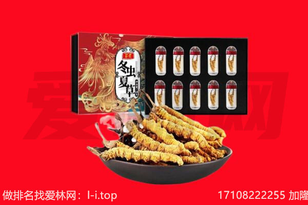 徐汇区回收虫草.jpg